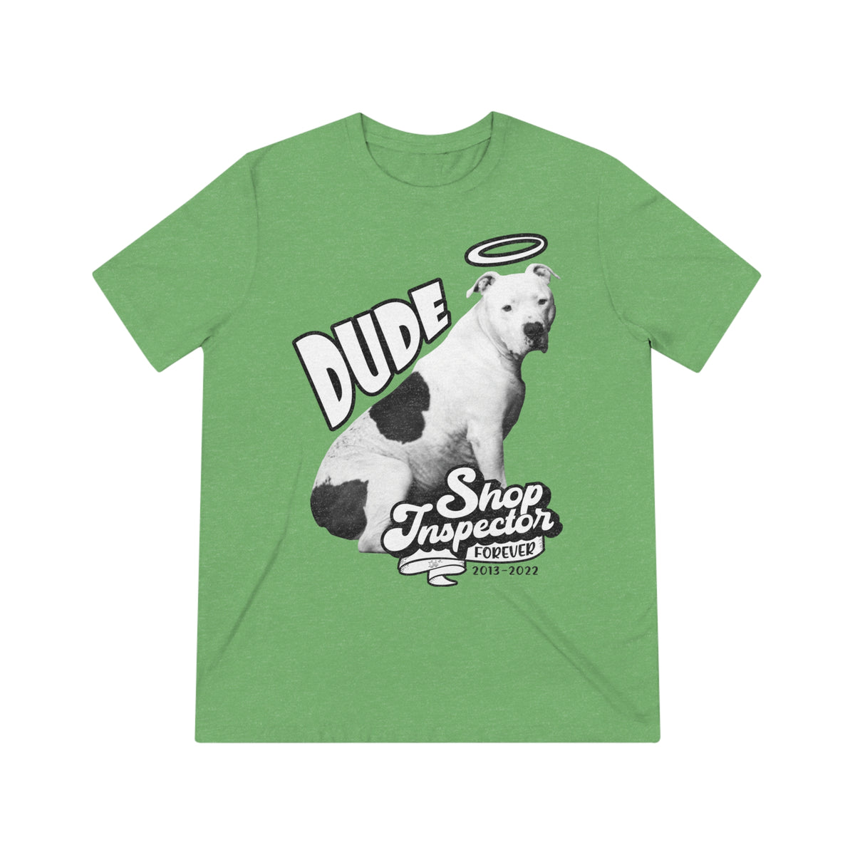 "Dude" Unisex Triblend Tee